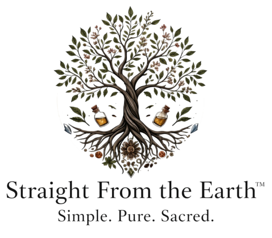 sfte logo transparent v4 8242026